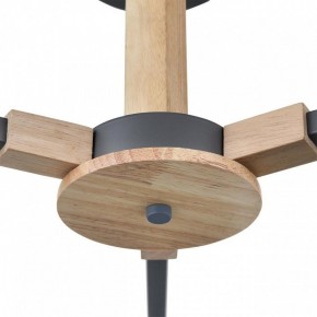 Люстра на штанге Lumion Colange 8096/3C в Ишиме - ishim.ok-mebel.com | фото 7