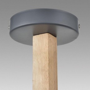 Люстра на штанге Lumion Colange 8096/3C в Ишиме - ishim.ok-mebel.com | фото 9