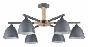 Люстра на штанге Lumion Colange 8096/6C в Ишиме - ishim.ok-mebel.com | фото