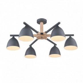 Люстра на штанге Lumion Colange 8096/6C в Ишиме - ishim.ok-mebel.com | фото 3