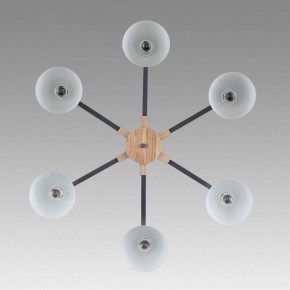 Люстра на штанге Lumion Colange 8096/6C в Ишиме - ishim.ok-mebel.com | фото 4