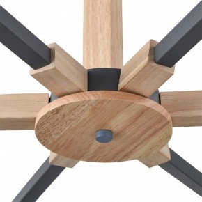 Люстра на штанге Lumion Colange 8096/6C в Ишиме - ishim.ok-mebel.com | фото 7