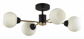 Люстра на штанге Lumion KODI 5646/4C в Ишиме - ishim.ok-mebel.com | фото