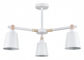 Люстра на штанге Lumion Rosalina 8097/3C в Ишиме - ishim.ok-mebel.com | фото