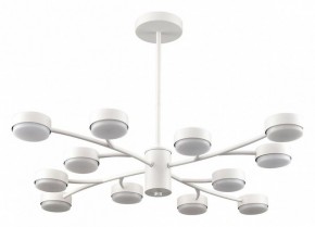 Люстра на штанге Lumion TORINA 8265/12 в Ишиме - ishim.ok-mebel.com | фото