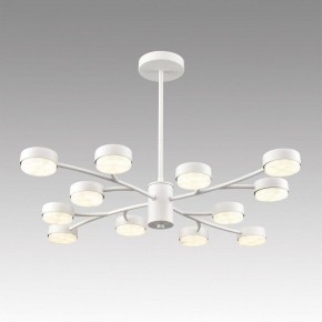 Люстра на штанге Lumion TORINA 8265/12 в Ишиме - ishim.ok-mebel.com | фото 3