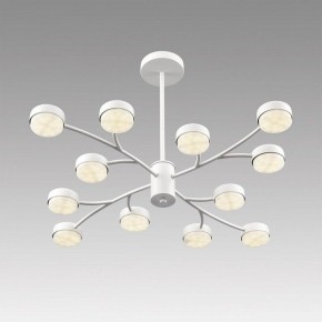 Люстра на штанге Lumion TORINA 8265/12 в Ишиме - ishim.ok-mebel.com | фото 5