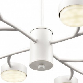 Люстра на штанге Lumion TORINA 8265/12 в Ишиме - ishim.ok-mebel.com | фото 8