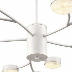 Люстра на штанге Lumion TORINA 8265/15 в Ишиме - ishim.ok-mebel.com | фото 8
