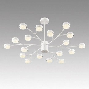 Люстра на штанге Lumion TORINA 8265/18 в Ишиме - ishim.ok-mebel.com | фото 5