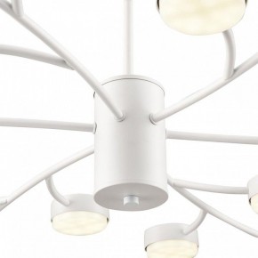 Люстра на штанге Lumion TORINA 8265/18 в Ишиме - ishim.ok-mebel.com | фото 8