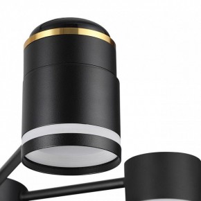 Люстра на штанге Lumion Virsava 8234/6C в Ишиме - ishim.ok-mebel.com | фото 8