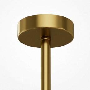 Люстра на штанге Maytoni Museo MOD436PL-05BS в Ишиме - ishim.ok-mebel.com | фото 6