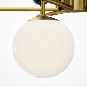 Люстра на штанге Maytoni Museo MOD436PL-07BS в Ишиме - ishim.ok-mebel.com | фото 4