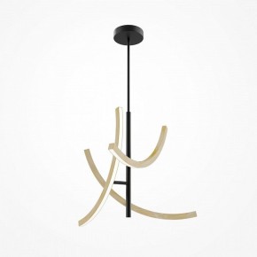 Люстра на штанге Maytoni Wabi MOD428PL-L27BK в Ишиме - ishim.ok-mebel.com | фото 5