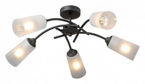 Люстра на штанге Vitaluce V2850 V2850-1/5PL в Ишиме - ishim.ok-mebel.com | фото 2