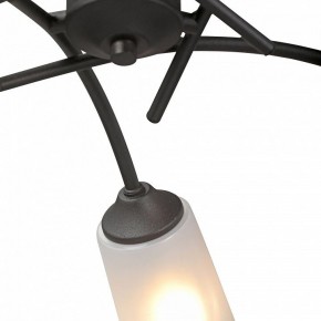 Люстра на штанге Vitaluce V2850 V2850-1/5PL в Ишиме - ishim.ok-mebel.com | фото 6