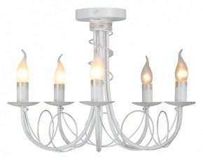 Люстра на штанге Vitaluce V3035 V3035-0/5PL в Ишиме - ishim.ok-mebel.com | фото 2