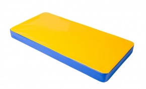 Мат гимнастический 1х0,5х0,08м цв. синий-желтый в Ишиме - ishim.ok-mebel.com | фото 1