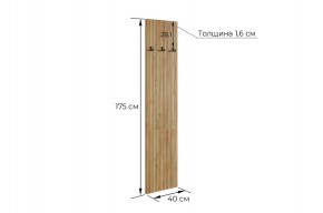 МЕБЕЛЬСОН К7 Прихожая в Ишиме - ishim.ok-mebel.com | фото 4