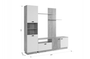 МОДИ К1 Гостиная (белое дерево) в Ишиме - ishim.ok-mebel.com | фото 2