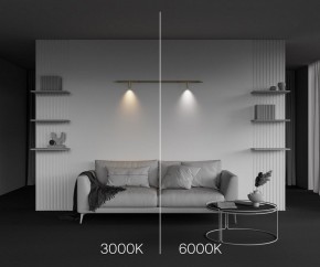 Модульный светильник Maytoni Focus LED C102CL-3W3-6K-BS в Ишиме - ishim.ok-mebel.com | фото 4