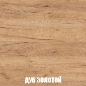 МСП-1 Шкаф 2-х створчатый (Дуб Золотой/Камень темный) в Ишиме - ishim.ok-mebel.com | фото 4