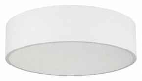 Накладной светильник Arlight TOR PILL 022103(3) в Ишиме - ishim.ok-mebel.com | фото