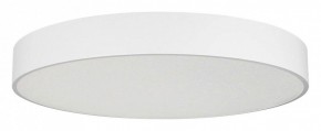 Накладной светильник Arlight TOR PILL 022132(4) в Ишиме - ishim.ok-mebel.com | фото