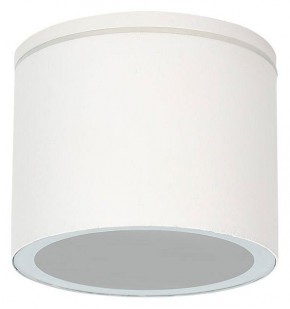 Накладной светильник Arte Lamp Piautos A1913PF-1WH в Ишиме - ishim.ok-mebel.com | фото