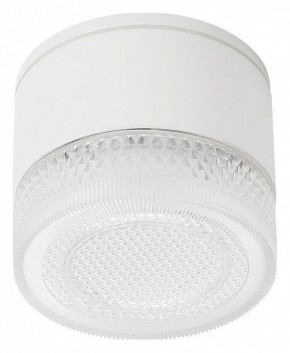 Накладной светильник Arte Lamp Piautos A1926PF-1WH в Ишиме - ishim.ok-mebel.com | фото