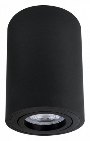 Накладной светильник Arte Lamp Sentry A1566PL-1BK в Ишиме - ishim.ok-mebel.com | фото