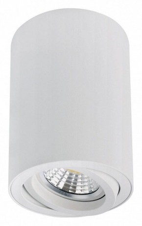 Накладной светильник Arte Lamp Sentry A1566PL-1WH в Ишиме - ishim.ok-mebel.com | фото