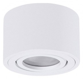 Накладной светильник Arte Lamp Unito A0550PL-1WH в Ишиме - ishim.ok-mebel.com | фото