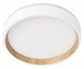 Накладной светильник Citilux Etalon CL750180 в Ишиме - ishim.ok-mebel.com | фото