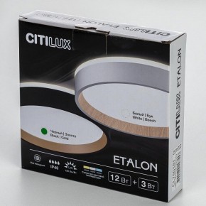 Накладной светильник Citilux Etalon CL750181 в Ишиме - ishim.ok-mebel.com | фото 13