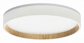Накладной светильник Citilux Etalon CL750240 в Ишиме - ishim.ok-mebel.com | фото