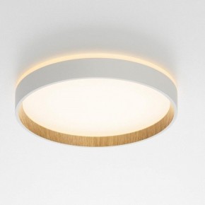Накладной светильник Citilux Etalon CL750240 в Ишиме - ishim.ok-mebel.com | фото 12