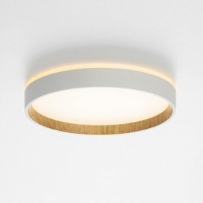 Накладной светильник Citilux Etalon CL750240 в Ишиме - ishim.ok-mebel.com | фото 4