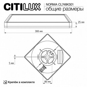 Накладной светильник Citilux Norma CL748K301 в Ишиме - ishim.ok-mebel.com | фото 11