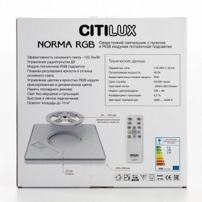 Накладной светильник Citilux Norma CL749K301 в Ишиме - ishim.ok-mebel.com | фото 10