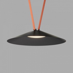 Накладной светильник Denkirs Belty Flow DK5569-BK в Ишиме - ishim.ok-mebel.com | фото