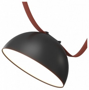 Накладной светильник Denkirs Belty Flow DK5660-BK в Ишиме - ishim.ok-mebel.com | фото
