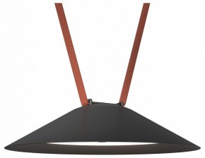 Накладной светильник Denkirs Belty Flow DK5664-BK в Ишиме - ishim.ok-mebel.com | фото