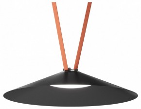 Накладной светильник Denkirs Belty Flow DK5668-BK в Ишиме - ishim.ok-mebel.com | фото