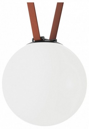 Накладной светильник Denkirs Belty Orb DK5554-BK в Ишиме - ishim.ok-mebel.com | фото