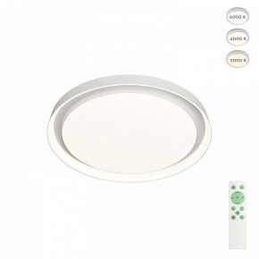 Накладной светильник Denkirs Cany DK6516-WH в Ишиме - ishim.ok-mebel.com | фото 3