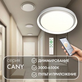 Накладной светильник Denkirs Cany DK6516-WH в Ишиме - ishim.ok-mebel.com | фото 4