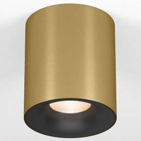 Накладной светильник Elektrostandard Primo 25116/LED в Ишиме - ishim.ok-mebel.com | фото
