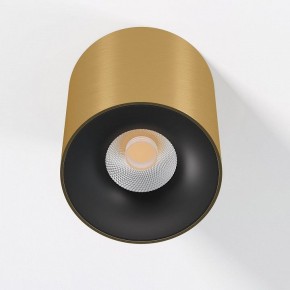 Накладной светильник Elektrostandard Primo 25116/LED в Ишиме - ishim.ok-mebel.com | фото